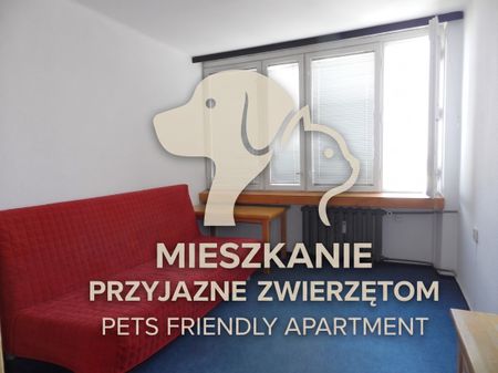 Okazja cenowa! - Zdjęcie 3