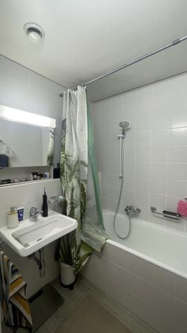 3 Zimmer, 56 m², 8. Stock - Photo 5