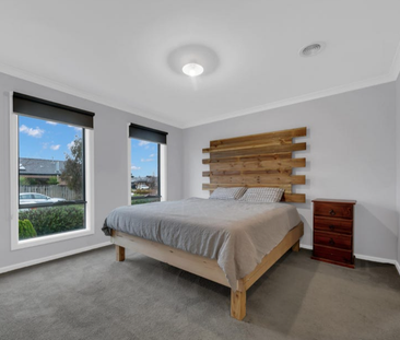 Spacious and Comfortable Family Home in Harkness - Photo 3