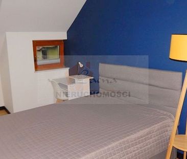 005MW Chełmiec, bezczynszowe mieszkanie na wynajem, pow. 80 m2, I p... - Photo 3