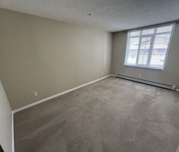 210, 40 Parkridge View SE, Calgary - Photo 4