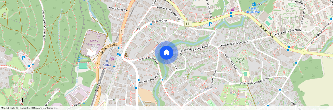 1010, Lausanne, Chemin de Champ-Rond, 19