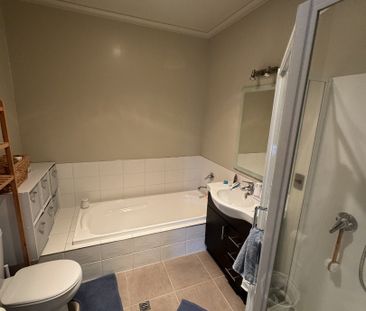 49E Albert Street, Hamilton East — - Photo 1