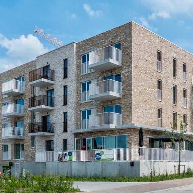 Assistentie-appartement te huur in Ronse voor € 825 met 1 slaapkamer - Photo 1