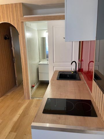 Location Appartement 1 pièce 13m² CANNES 06400 - Photo 3