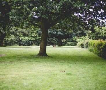 1 bedroom ground floor flat to rent - Photo 3