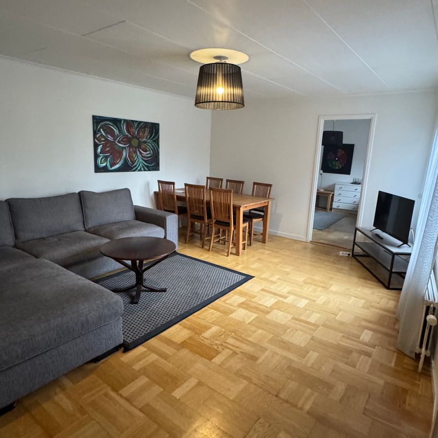 Kopparstigen, Svappavaara - Foto 1