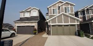 Glenridding 1 Bed 1 Bath BSMT Suite SW Edmonton - Photo 2