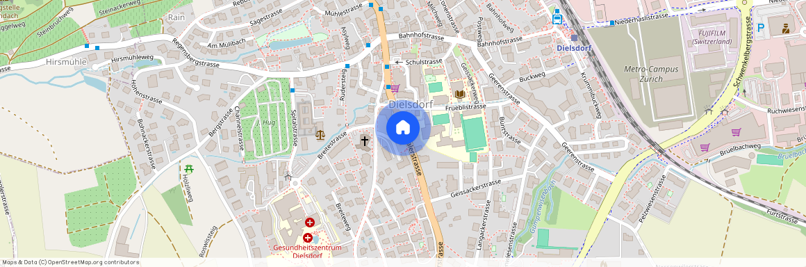 Wehntalerstrasse, 8157 Dielsdorf