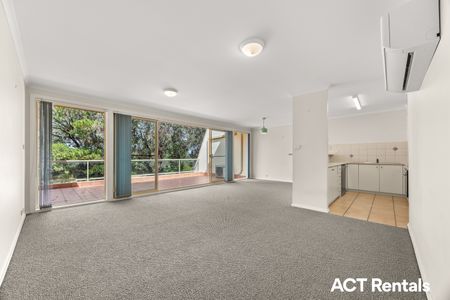 16/51 Leahy Close, Narrabundah ACT 2604 - Apartment For Rent | Domain - Photo 4