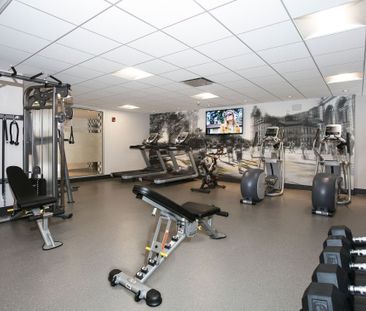 Appartement à louer - Montréal (Ville-Marie) (Centre Ouest) Apparte... - Photo 3