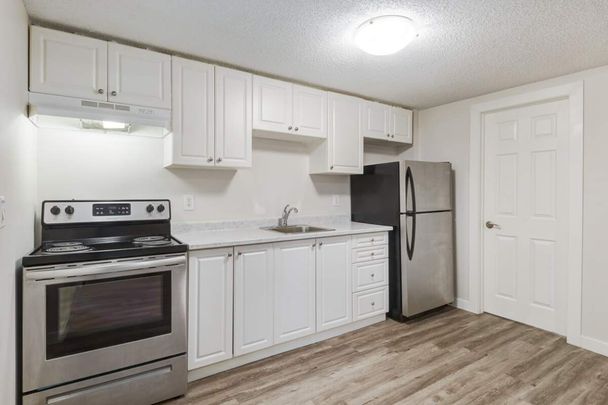 Renovated Suite - 3 Bedroom - Photo 1
