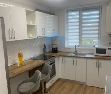 Apartament 1 camera, Horea - Photo 4