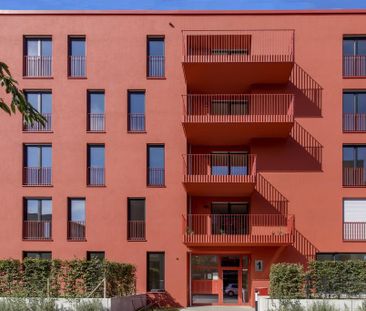 Mieter gesucht! Zwei Zimmer und 70 m² im modernen Neubau - Photo 2