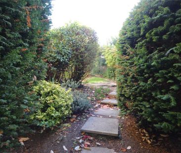 2 bedroom cottage to rent - Photo 4