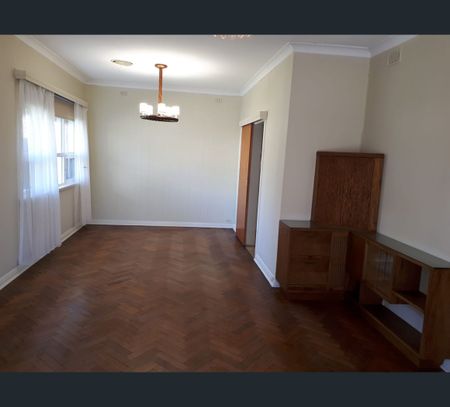 13 Creslin Terrace, Camden Park, SA 5038 - Photo 3