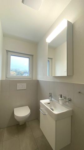 Steinlerweg, Frenkendorf - Foto 3