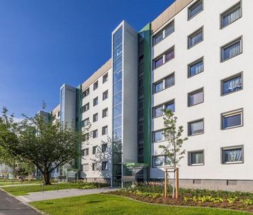 Ein Zuhause für alle! 5-Raum-Wohnung - Photo 1