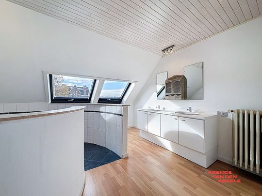 Ruim duplexappartement met prachtig terras - Photo 1