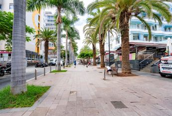 Alquiler de Temporada de Estudio en Puerto de La Cruz – 0067-04554