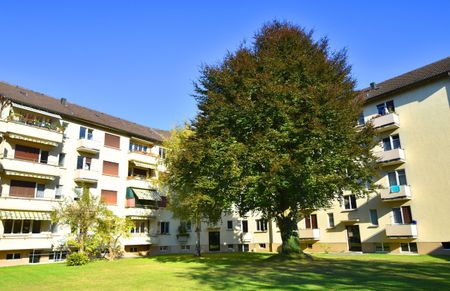 Neues Wohnglück in Thun gesucht? - Mieter ab sofort gesucht! - Photo 4