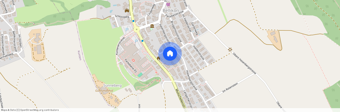 Hasenbergstrasse 18, 5454 Bellikon