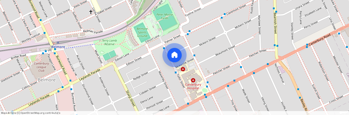 16A Tudor, NSW 2194, Campsie