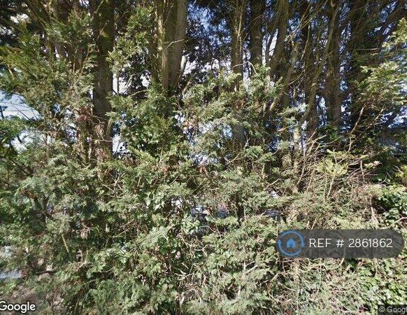 4 bedroom bungalow to rent - Photo 1