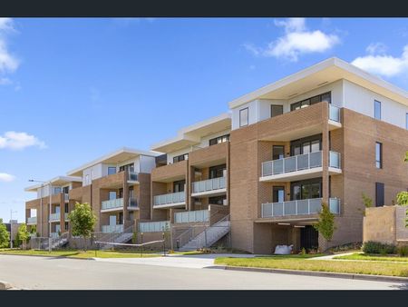 26/22 Cornelius Street, Coombs ACT 2611 - Apartment For Rent | Domain - Photo 4