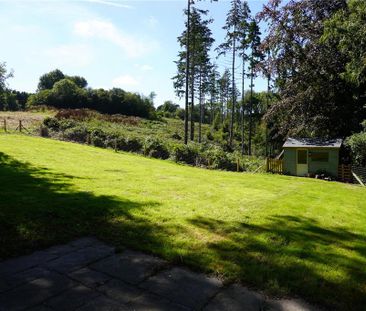 3 bedroom detached house to rent - Photo 4
