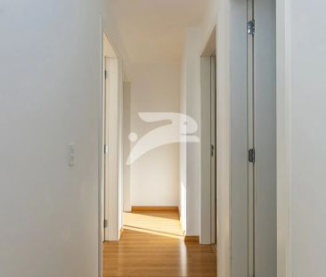Apartamento 3 Quartos Campina do Siqueira 80m² - Photo 1