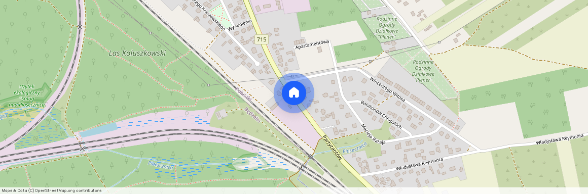 ul. Partyzantów, Koluszki, Koluszki, łódzki wschodni, łódzkie