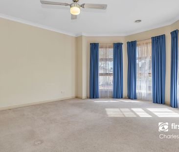 Dive Into Highlands Estate - Photo 1