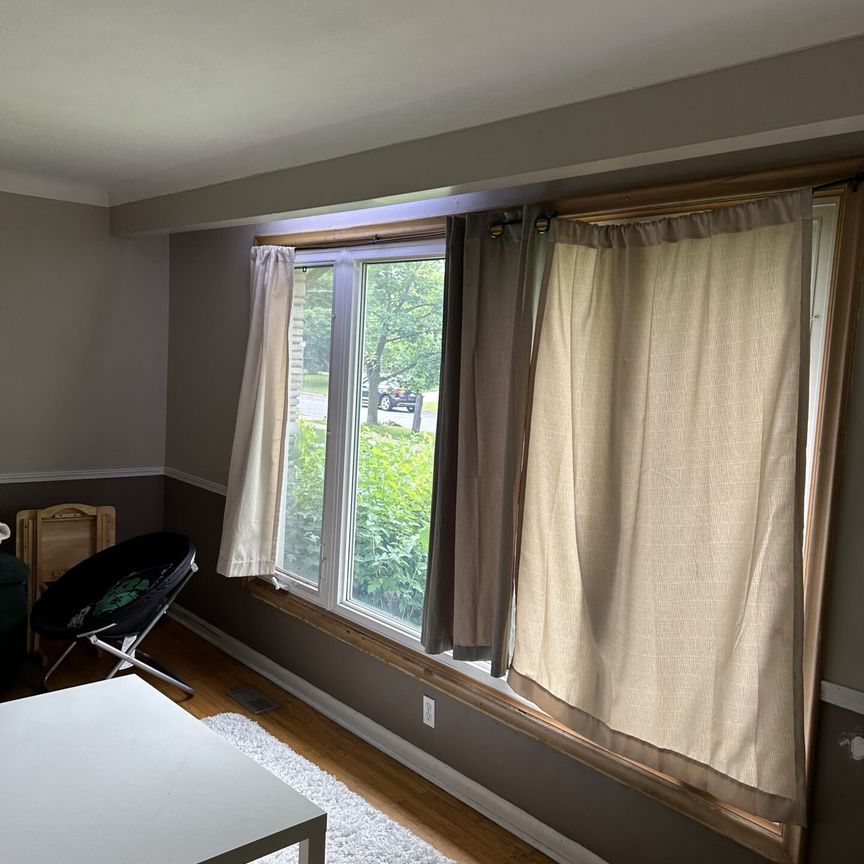 53 Jacobson Avenue - Photo 1