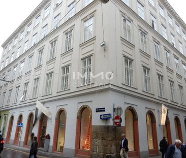 3-Zimmer-Wohnung zwischen Spiegelgasse und Dorotheergasse - Photo 6