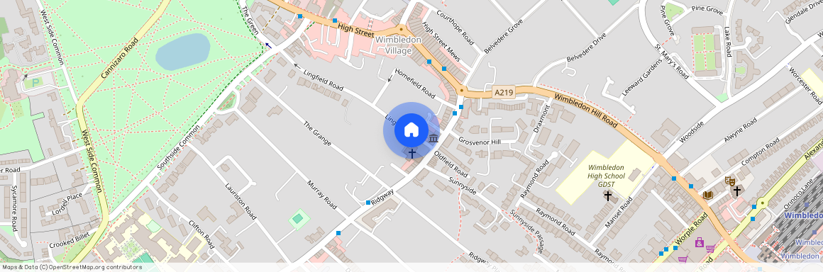 Lingfield road, Wimbledon Village