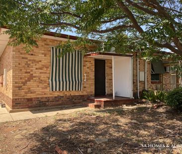 35 Wilkins Road, Elizabeth Downs SA 5113 - House For Rent | Domain - Photo 6