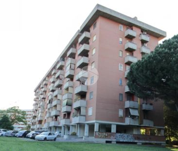 Bilocale in affitto - Photo 3