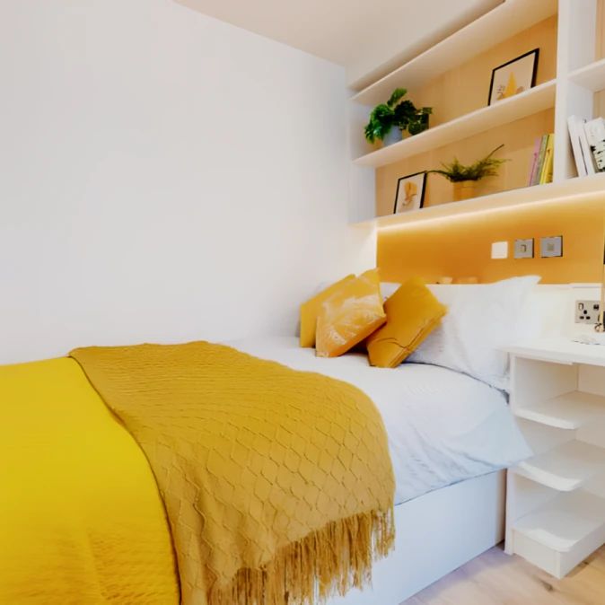 Gold Studio Plus - Photo 1