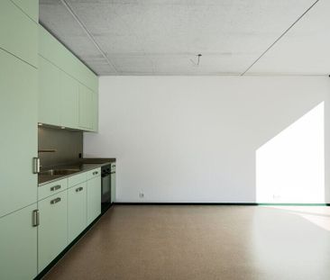 Living near the city - Photo 1