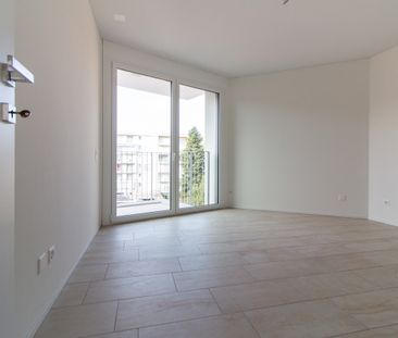 2.5 LOCALI ARREDATO E MODERNO A VIGANELLO - Foto 3