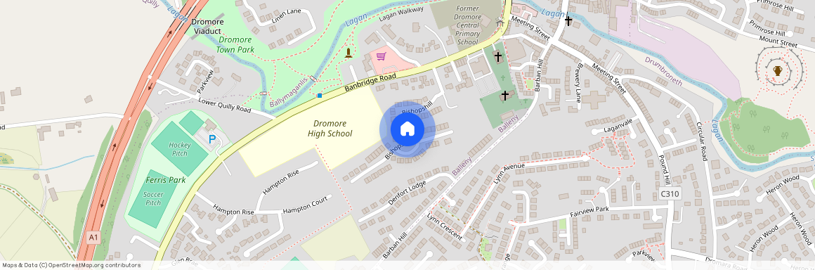 30 Bishopshill, Dromore, BT25 1FL