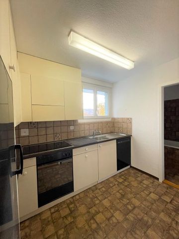 Ihre neue Wohnung im grünen? Befristetes Mietverhältnis 30.09.2027 - Photo 3
