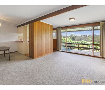 Cute & Convenient! - Photo 1