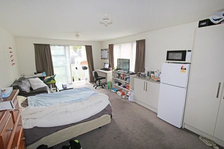 Room 3/8 Ethel Benjamin Place, Dunedin North, Dunedin City - Photo 5