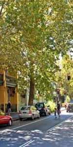 8/636 Crown Street, Surry Hills NSW 2010 - House For Rent | Domain - Photo 4