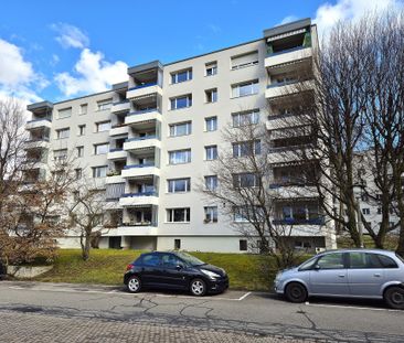 Ruhige Wohnung mit Weitblick über Dornach - Photo 5