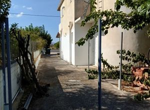 Διαμέρισμα για ενοικίαση - Σπάτα - Photo 2