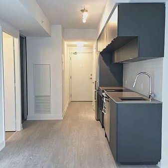 Dundas St E / Jarvis St Elegant 1Bdrm +Den Near Eaton Centre, Park - Photo 1