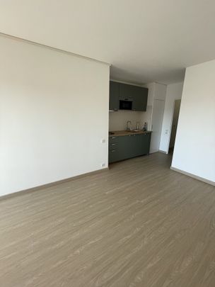 Appartement T1 en location à Toulouse - Photo 1